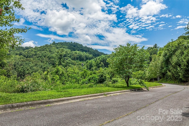 29 Grovepoint Way, Asheville, NC 28804 - photo 7
