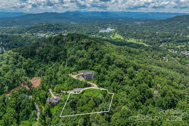 29 Grovepoint Way, Asheville, NC 28804 - photo 8