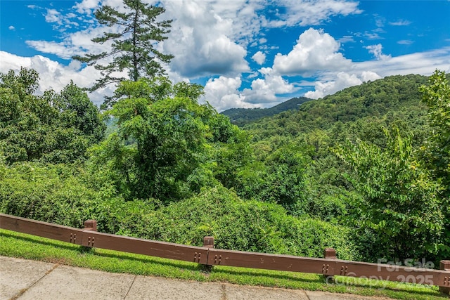 29 Grovepoint Way, Asheville, NC 28804 - photo 9