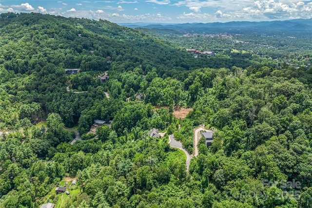 29 Grovepoint Way, Asheville, NC 28804 - photo 10