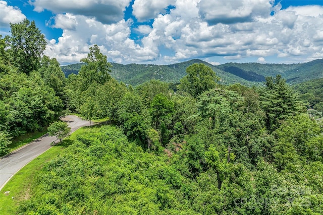 29 Grovepoint Way, Asheville, NC 28804 - photo 11