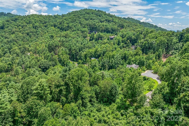 29 Grovepoint Way, Asheville, NC 28804 - photo 12