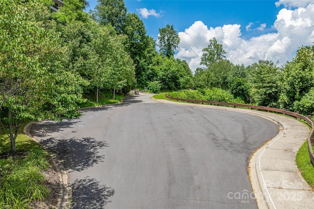 29 Grovepoint Way, Asheville, NC 28804 - photo 13