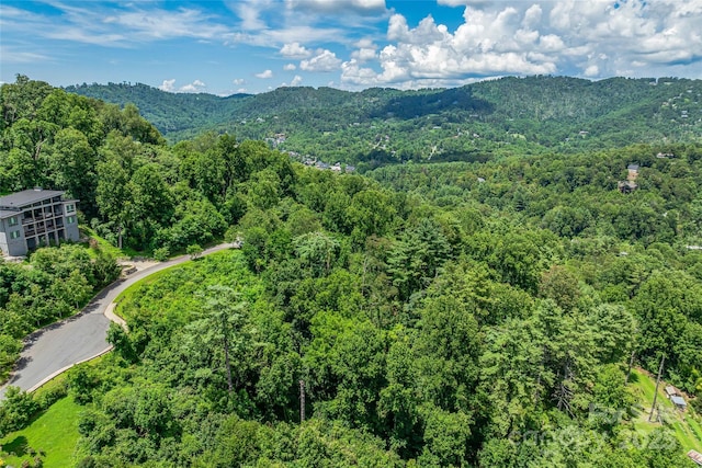29 Grovepoint Way, Asheville, NC 28804 - photo 15