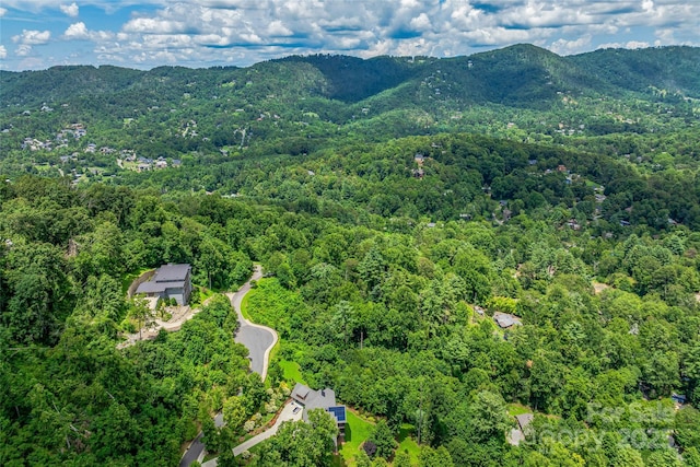 29 Grovepoint Way, Asheville, NC 28804 - photo 16