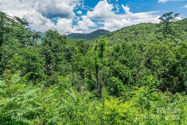29 Grovepoint Way, Asheville, NC 28804 - photo 17