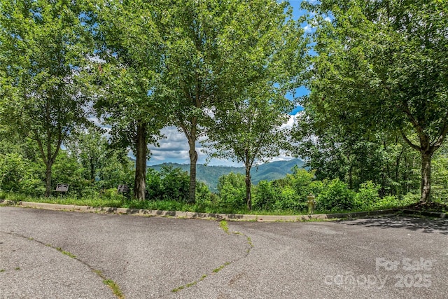 29 Grovepoint Way, Asheville, NC 28804 - photo 18