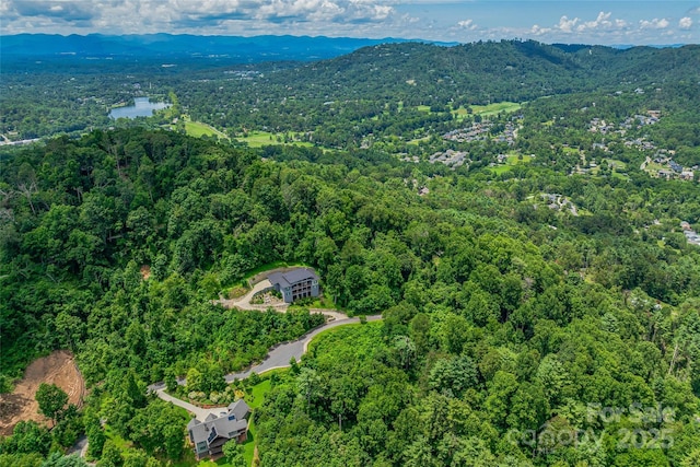 29 Grovepoint Way, Asheville, NC 28804 - photo 19