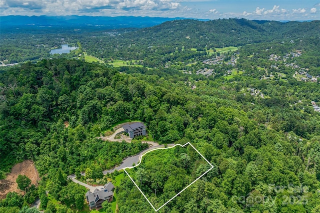 29 Grovepoint Way, Asheville, NC 28804 - photo 20