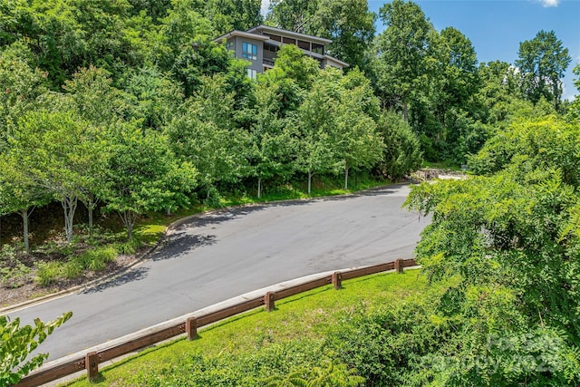 29 Grovepoint Way, Asheville, NC 28804 - photo 21
