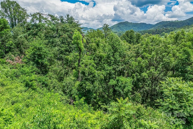 29 Grovepoint Way, Asheville, NC 28804 - photo 22
