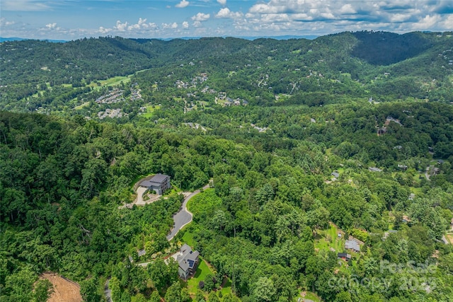 29 Grovepoint Way, Asheville, NC 28804 - photo 23