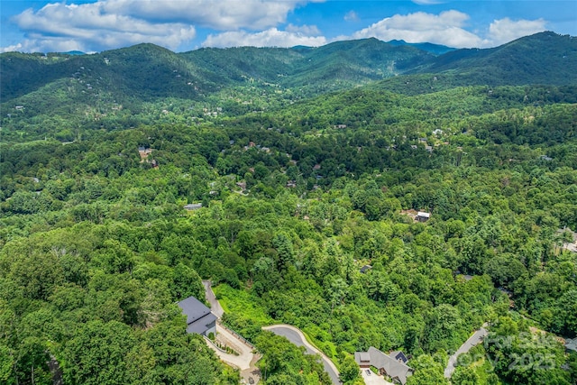 29 Grovepoint Way, Asheville, NC 28804 - photo 24