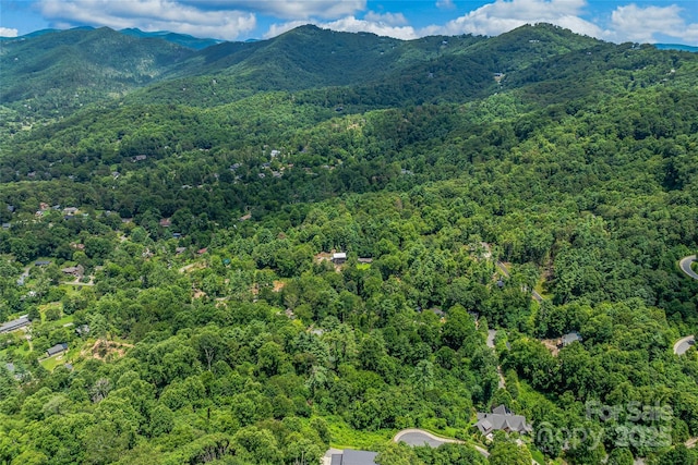 29 Grovepoint Way, Asheville, NC 28804 - photo 25