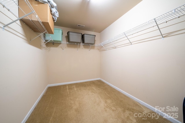 9304 Rayneridge Dr, Huntersville, NC 28078 - photo 23