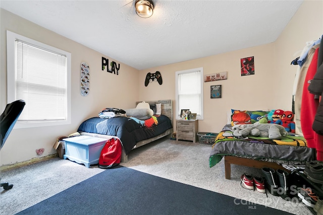 89 Whitmire St, Brevard, NC 28712 - photo 8