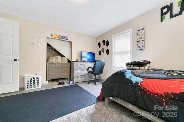 89 Whitmire St, Brevard, NC 28712 - photo 9
