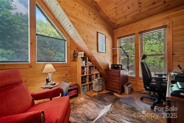 190 Observation Rdg, Rutherfordton, NC 28139 - photo 26
