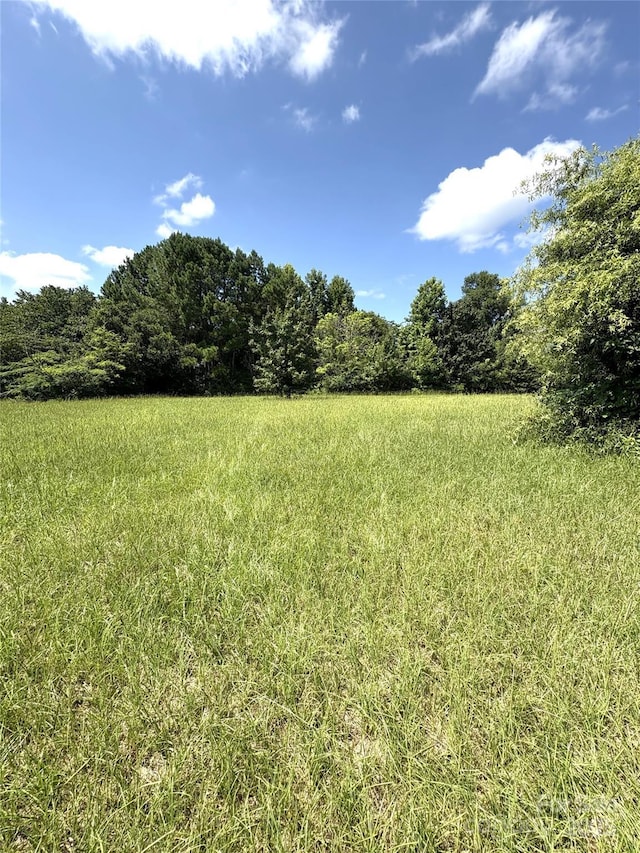 5720 Landon Pl, Heath Springs, SC 29058 - photo 4