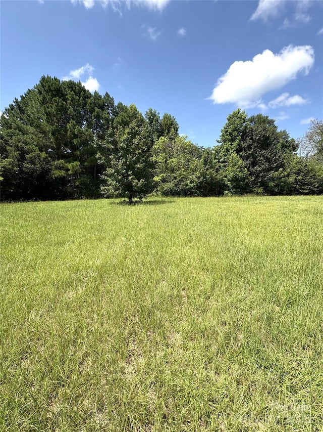 5720 Landon Pl, Heath Springs, SC 29058 - photo 5