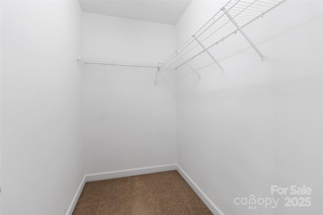 5248 Ellie Ct, Concord, NC 28025 - photo 19