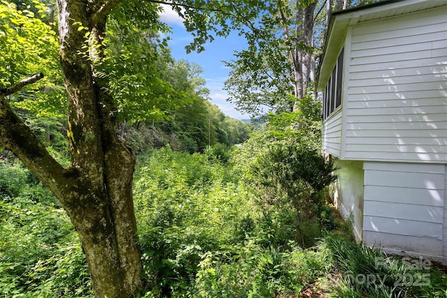 524 Clear Creek Rd, Burnsville, NC 28714 - photo 44