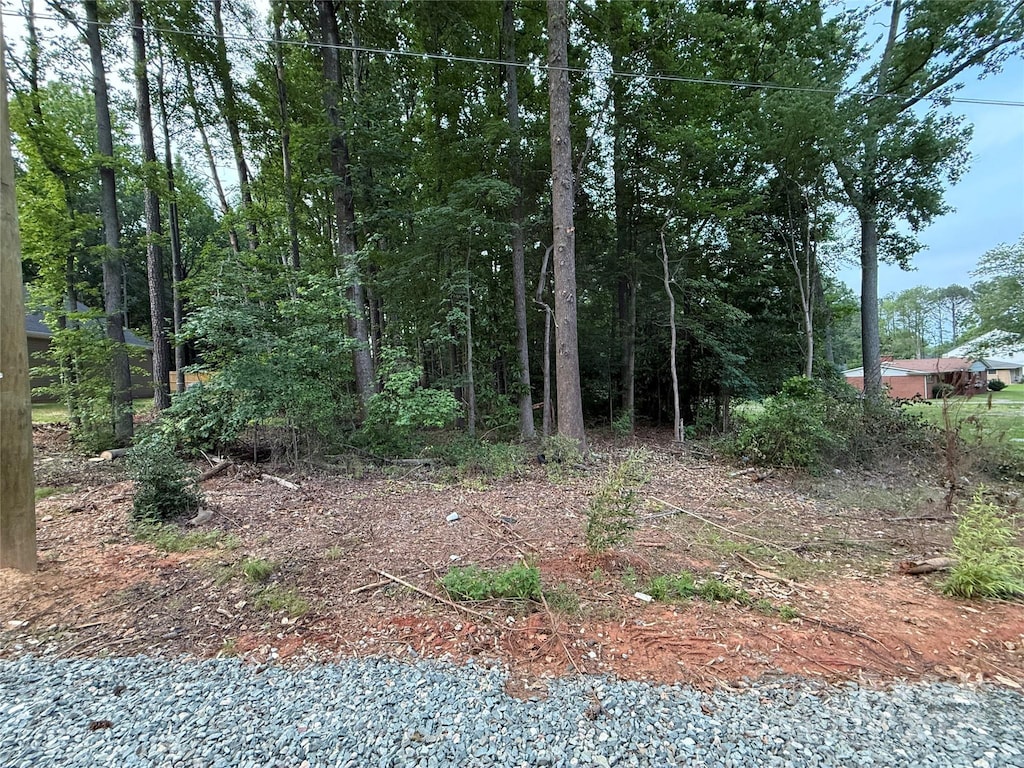 307 Gray Dr, Charlotte, NC 28213 - photo 1
