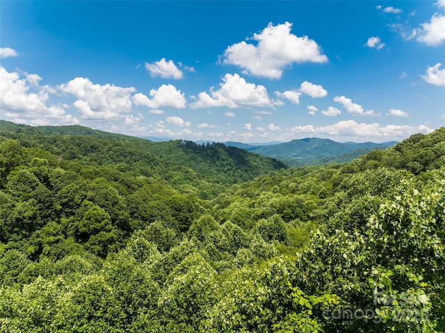 141 Locust Ramp Dr, Burnsville, NC 28714 - photo 8