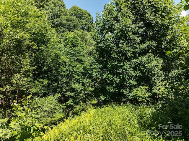 141 Locust Ramp Dr, Burnsville, NC 28714 - photo 15