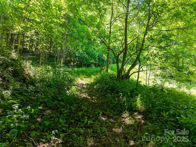 141 Locust Ramp Dr, Burnsville, NC 28714 - photo 22