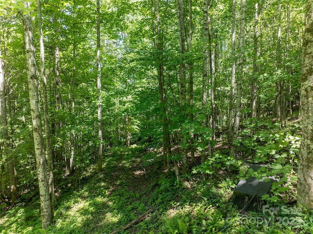 141 Locust Ramp Dr, Burnsville, NC 28714 - photo 33