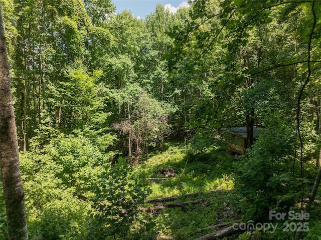 141 Locust Ramp Dr, Burnsville, NC 28714 - photo 36