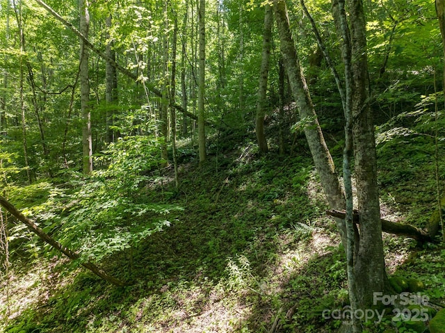 141 Locust Ramp Dr, Burnsville, NC 28714 - photo 38