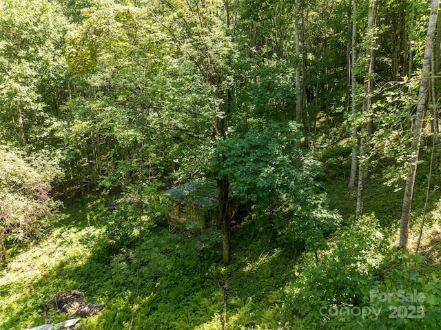 141 Locust Ramp Dr, Burnsville, NC 28714 - photo 40