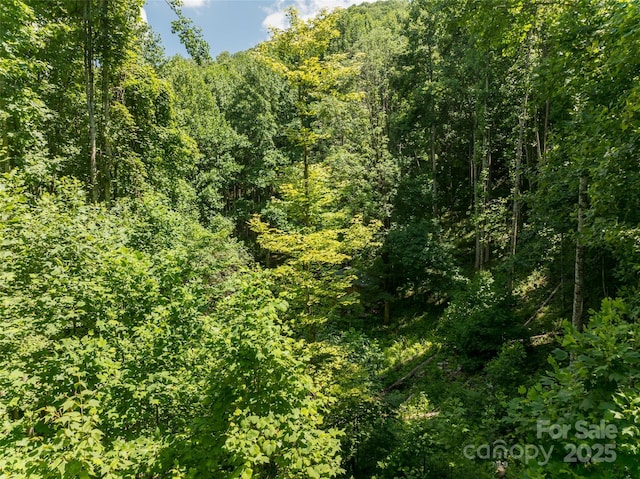 141 Locust Ramp Dr, Burnsville, NC 28714 - photo 41