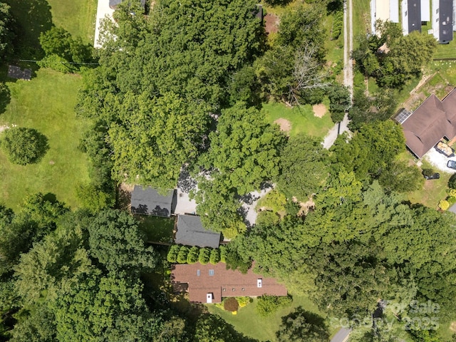 313 Chadwick Ave, Hendersonville, NC 28792 - photo 46