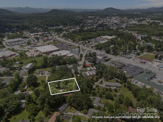 313 Chadwick Ave, Hendersonville, NC 28792 - photo 47