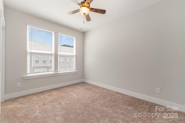 3005 Citizens Ln, Charlotte, NC 28205 - photo 21