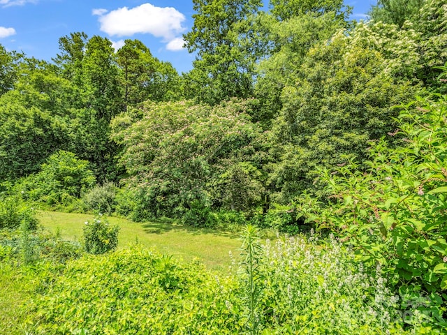 14 Monte Vista Pl, Candler, NC 28715 - photo 38
