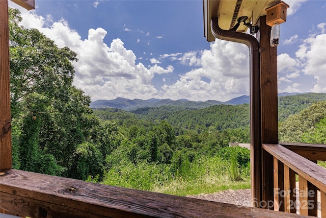 343 Rio Bravo Dr, Sylva, NC 28779 - photo 25