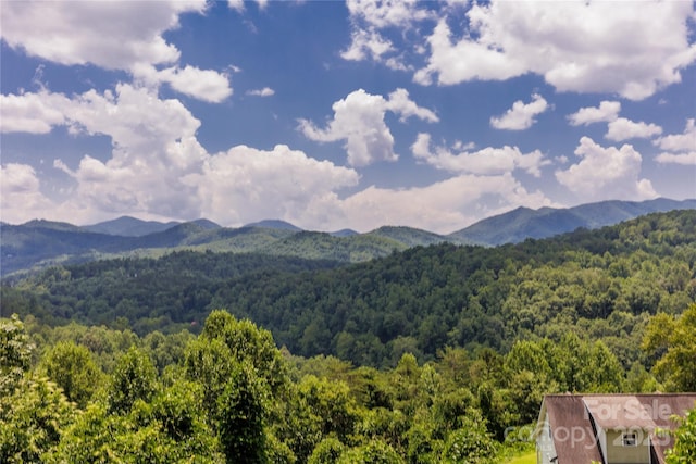 343 Rio Bravo Dr, Sylva, NC 28779 - photo 28