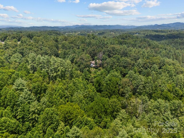 169 Pickens Rd, Weaverville, NC 28787 - photo 44