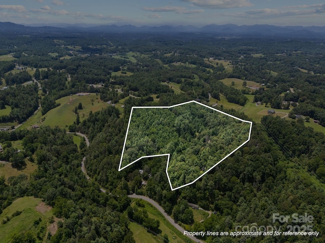 169 Pickens Rd, Weaverville, NC 28787 - photo 45