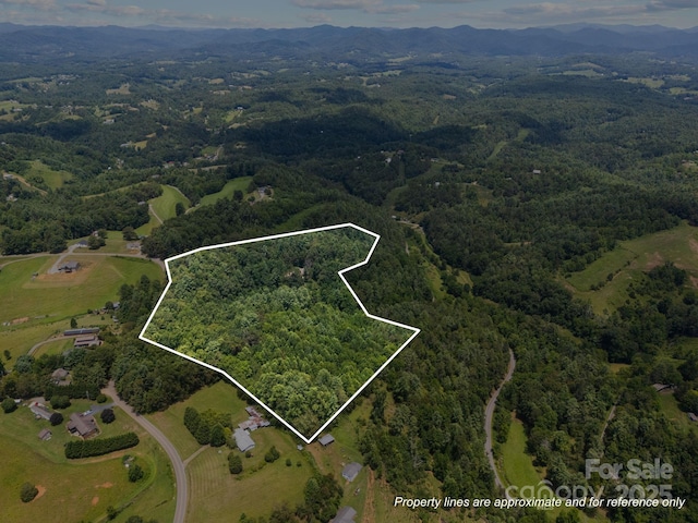 169 Pickens Rd, Weaverville, NC 28787 - photo 46