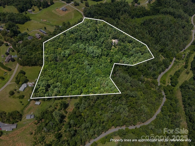 169 Pickens Rd, Weaverville, NC 28787 - photo 47