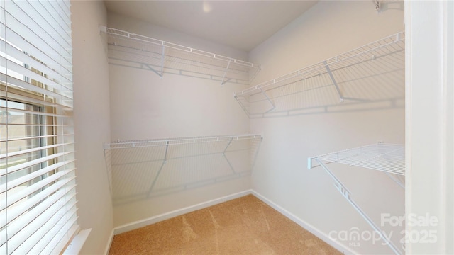 206 Scenic View Ln, Stallings, NC 28104 - photo 20