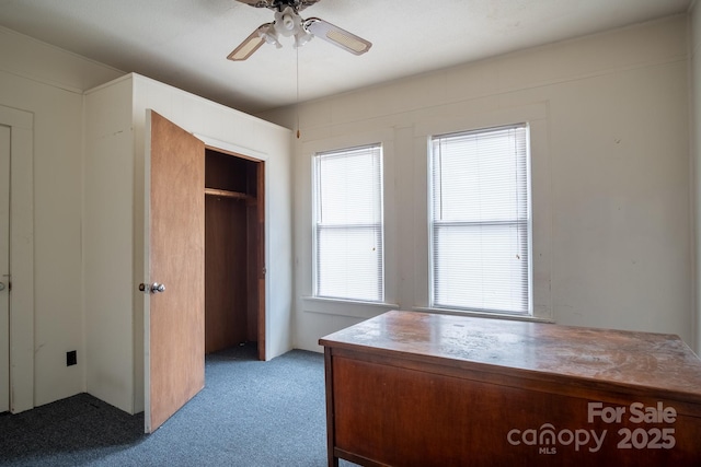 262 S Caldwell St S, Brevard, NC 28712 - photo 3