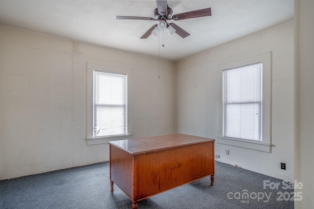 262 S Caldwell St S, Brevard, NC 28712 - photo 4