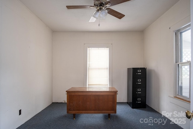262 S Caldwell St S, Brevard, NC 28712 - photo 6