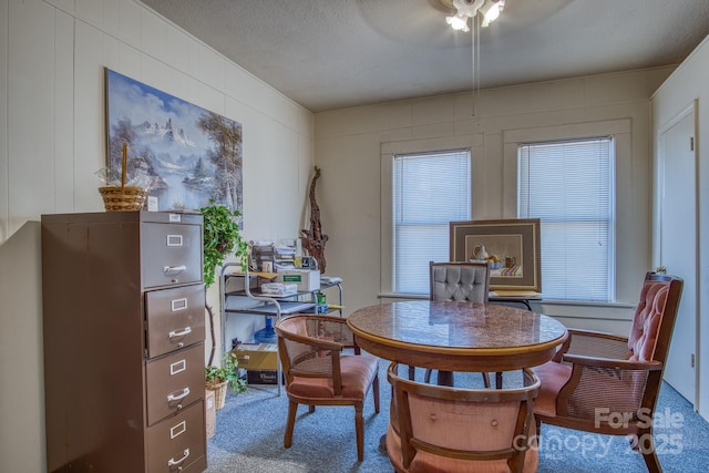 262 S Caldwell St S, Brevard, NC 28712 - photo 8